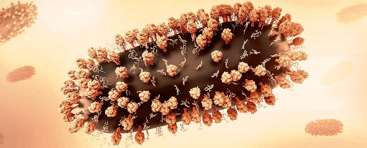 Respiratory syncytial virus (RSV).