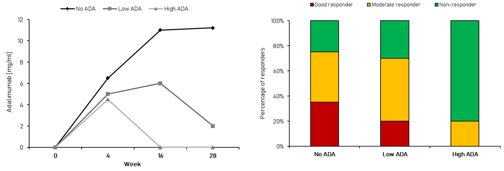 Impact of ADA response on PK and efficacy of adalimumab in RA population.