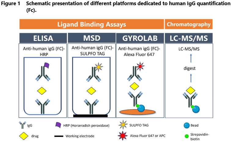 Presentation of different human IgG quantification platforms.