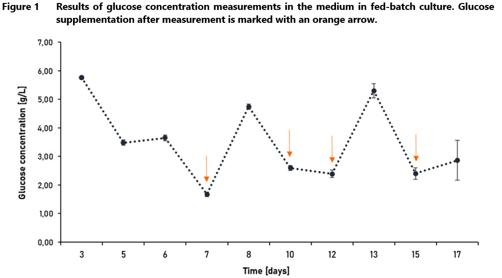 Glucose concentrations in the medium in fed-batch culture.