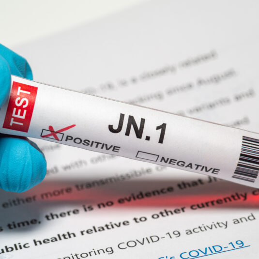 JN.1 variant of SARS-CoV-2 virus.