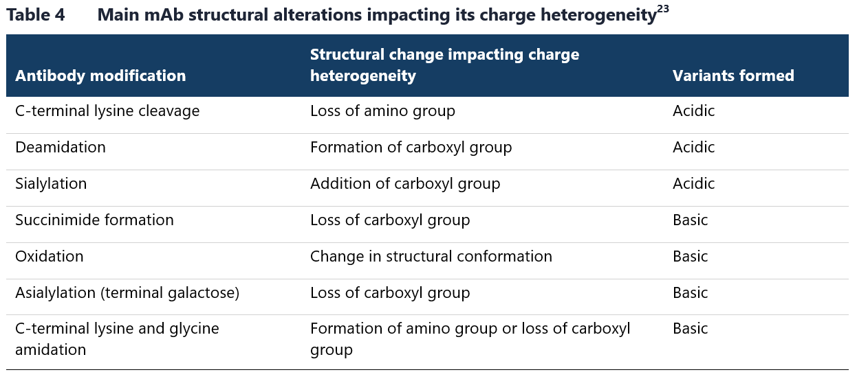 Main monoclonal antibodies structural alterations impacting its charge heterogeneity.