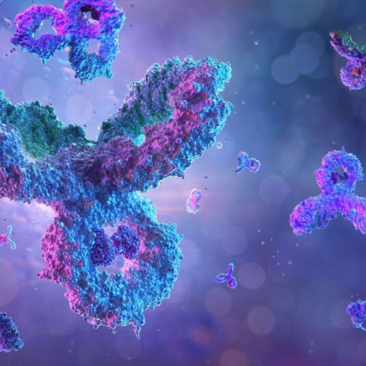 antibodies development best practices