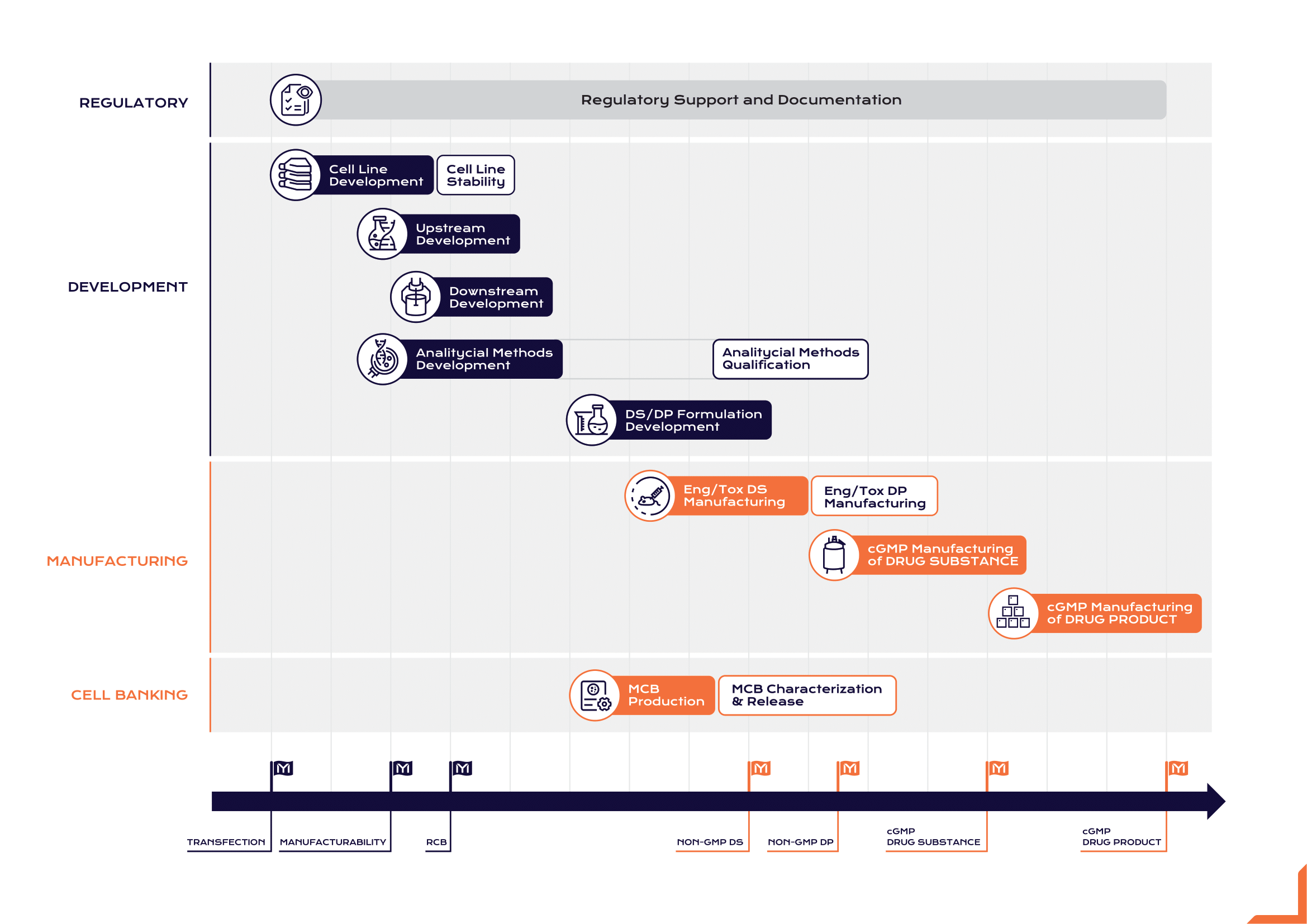 Mabion Early Stage Development Workflow