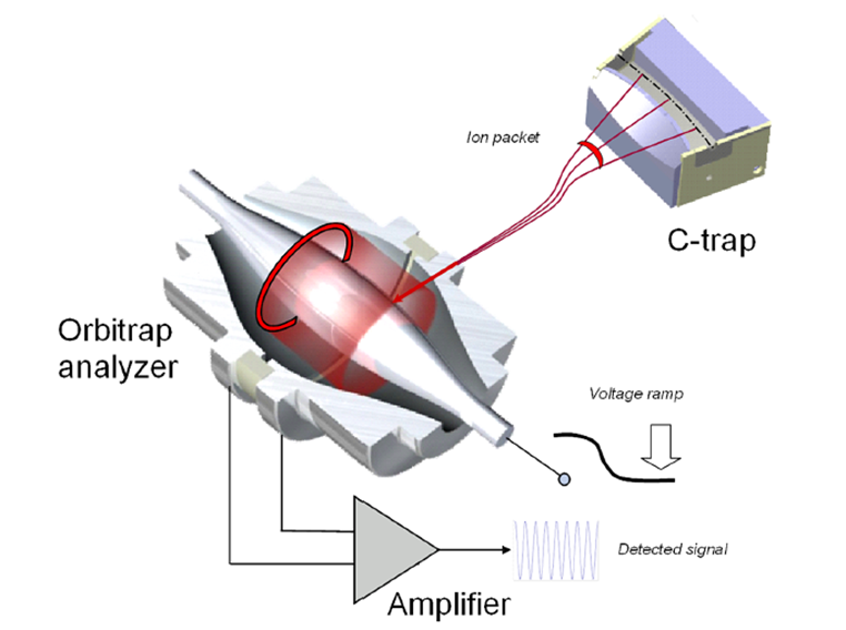 A mass spectrometer with an Orbitrap analyzer. Operational schematic of Orbitrap mass analyzer.