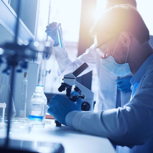 Analytical Lifecycle for Monoclonal Antibodies