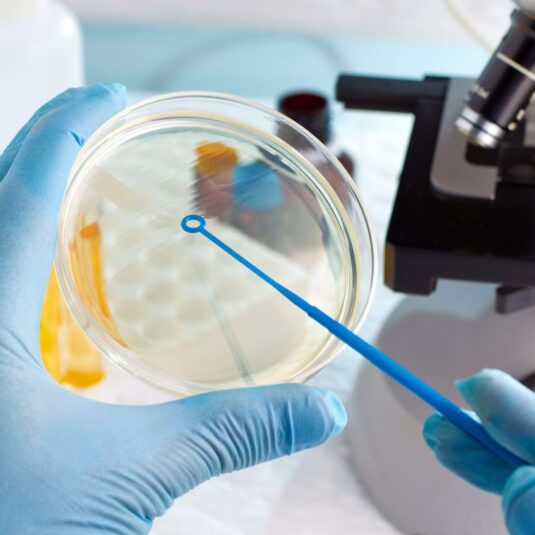 Rapid Microbiological Methods (RMMs) enhance sterile drug quality control