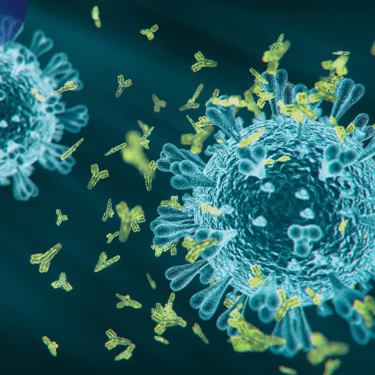 Monoclonal Antibody Prophylaxis for Infectious Diseases