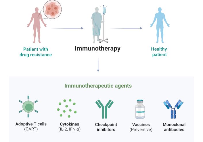conceptual pathway of monoclonal antibodies for infectious disease prevention and prophylaxis