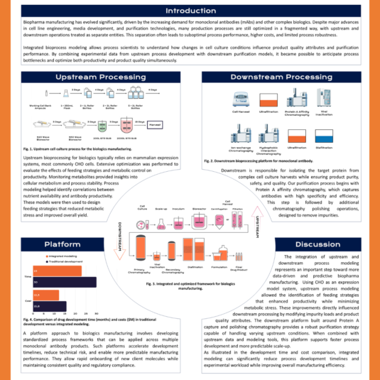 Integrated modeling of upstream and downstream bioprocessing to improve biologics production efficiency