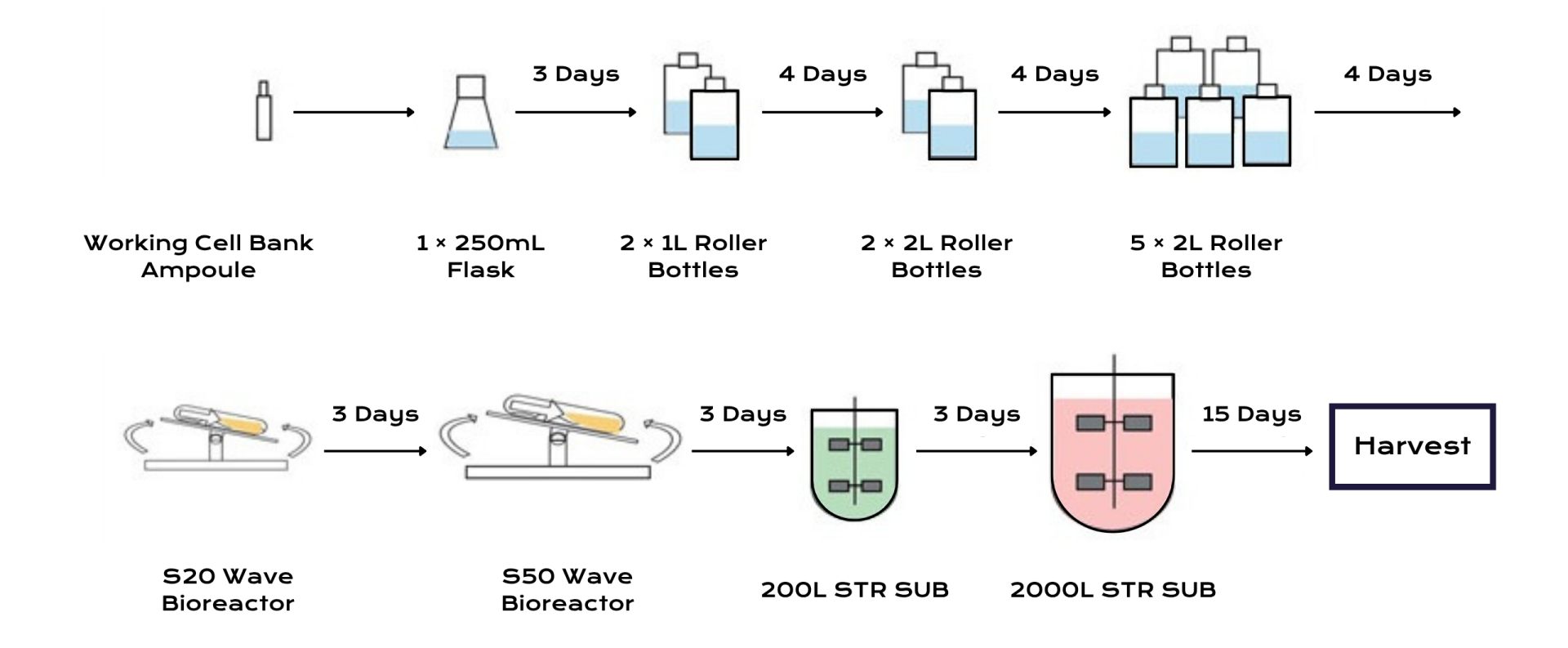 Upstream cell culture process for the biologics manufacturing - biologics production efficiency.