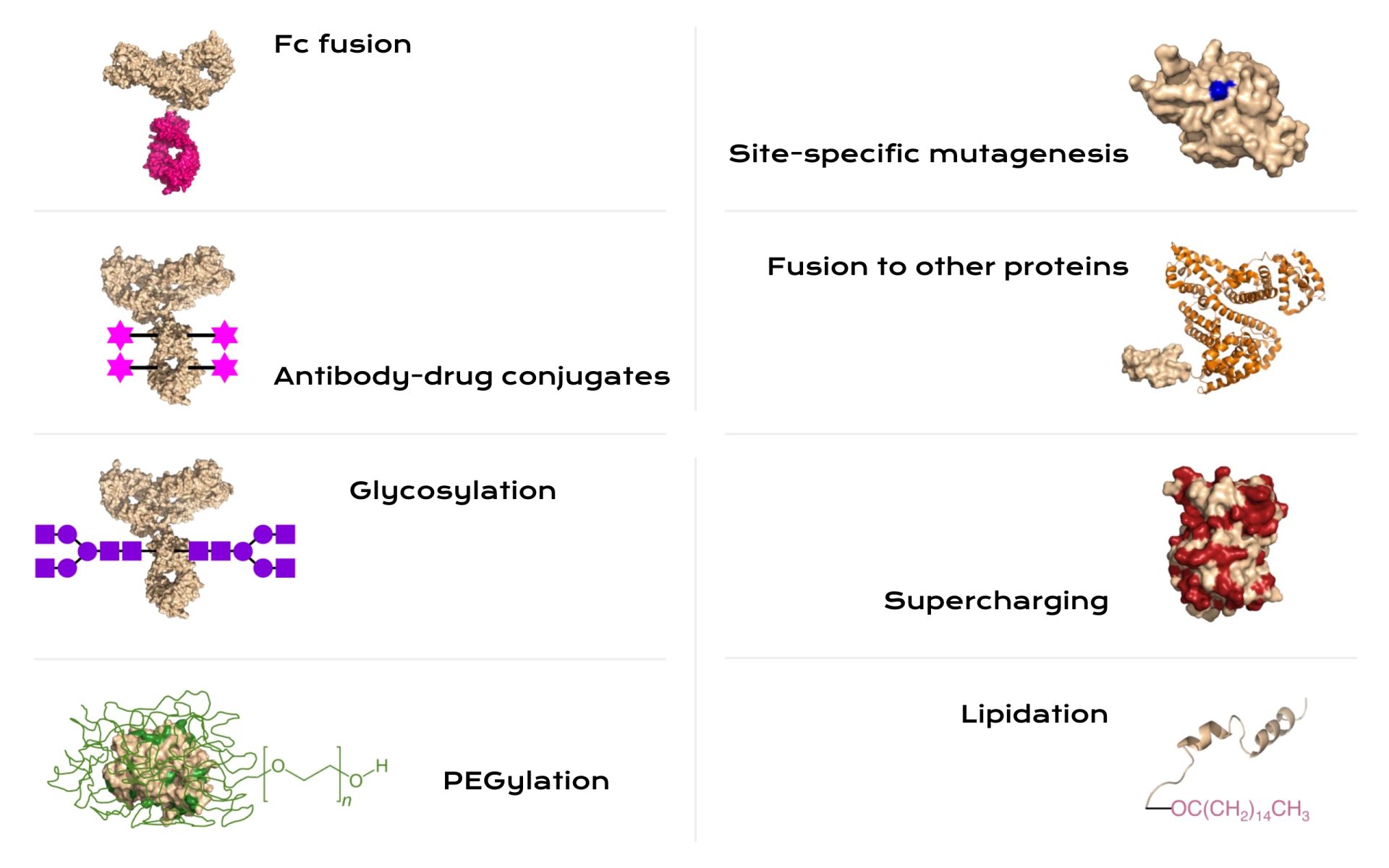 Szczegóły załączonego plikutherapeutic protein production modern biologics