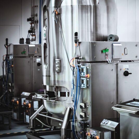 recombinant protein production