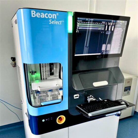 cell line development