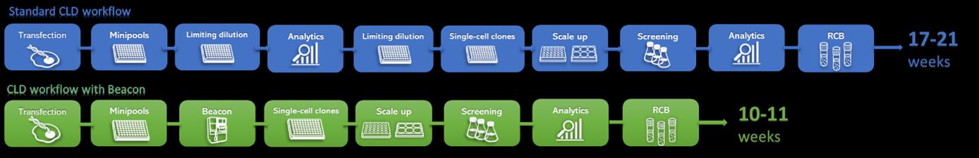standard cell line development workflow vs. cell line development  workflow with Beacon