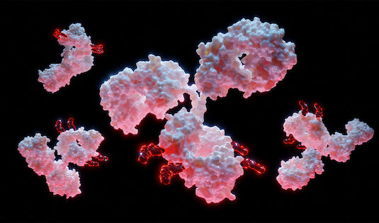 Izalontamab Brengitecan (Iza-Bren) Demonstrates Statistically Significant and Clinically Meaningful Improvements in Overall Survival and Progression-Free Survival in Patients with Triple-Negative Breast Cancer and Esophageal Squamous Cell Carcinoma