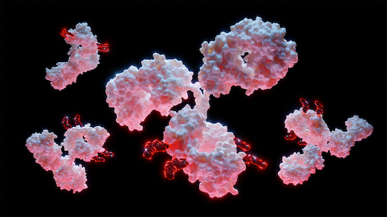 Izalontamab Brengitecan (Iza-Bren) Demonstrates Statistically Significant and Clinically Meaningful Improvements in Overall Survival and Progression-Free Survival in Patients with Triple-Negative Breast Cancer and Esophageal Squamous Cell Carcinoma