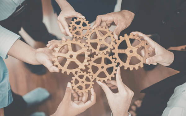 Co-development in Biopharma Industry