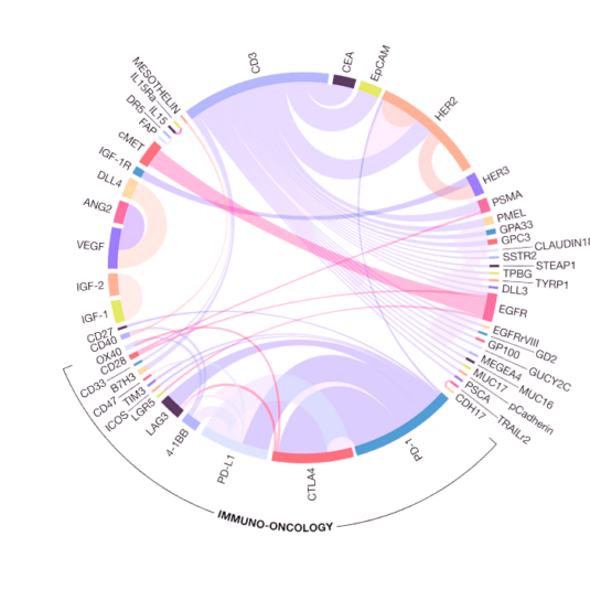 Popular receptor targets for oncologic bispecific antibodies