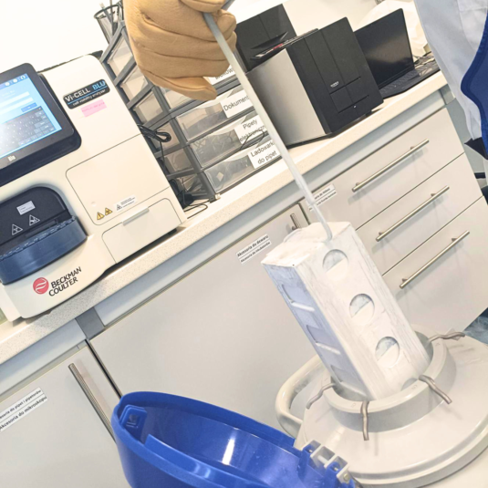 Cell Banking for Biologics Manufacturing