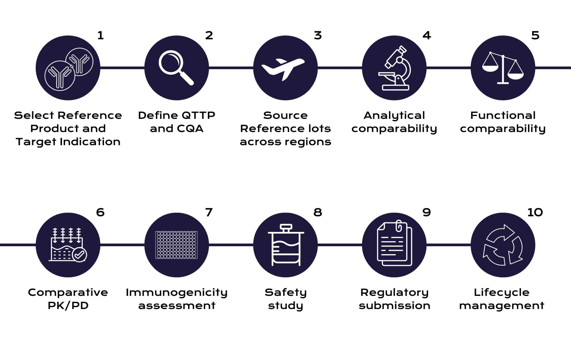 Process diagram for a monoclonal antibody biosimilar pathway